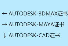 武汉短视频运营,打造城市魅力新名片